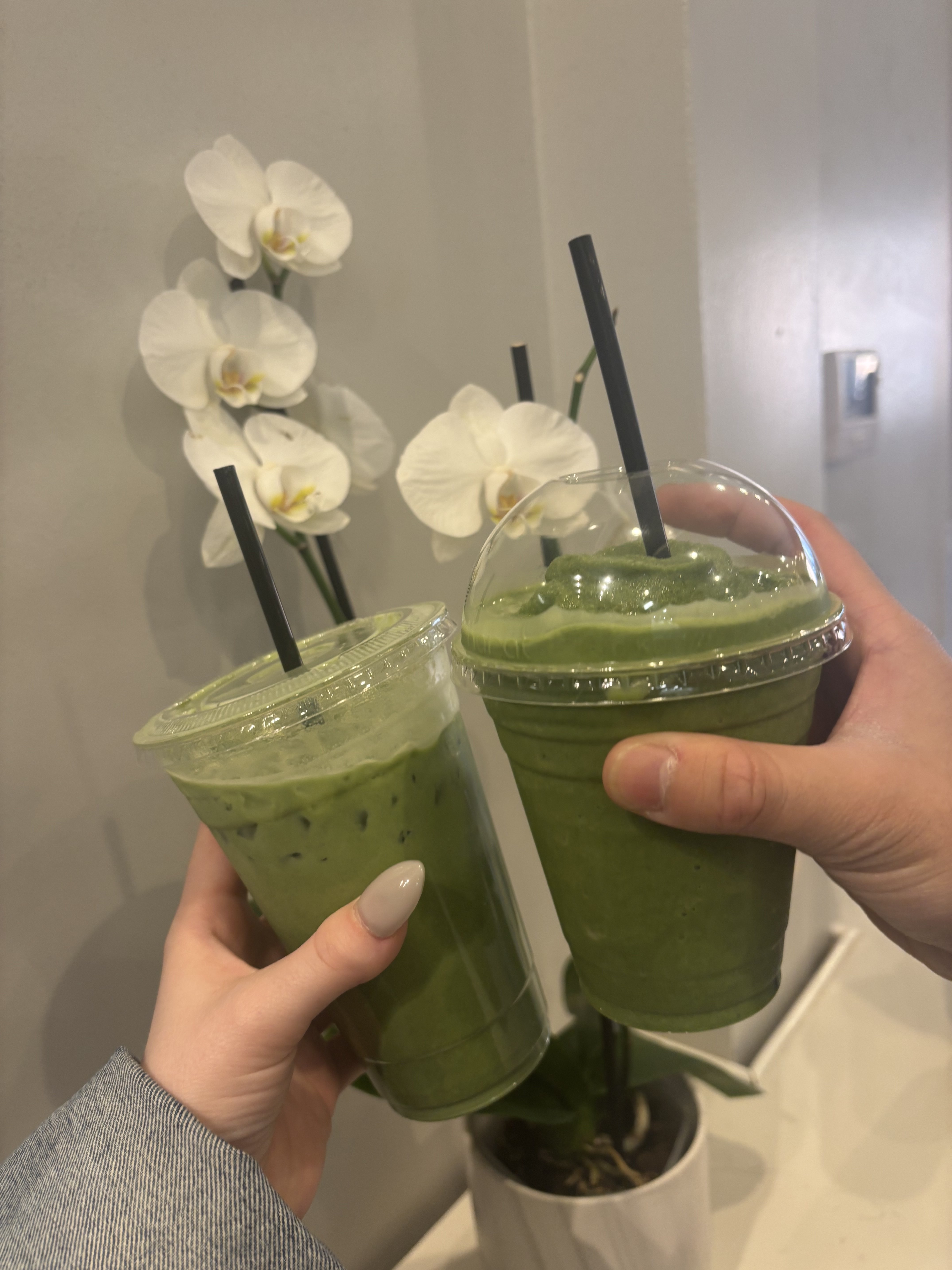 Matcha Cup